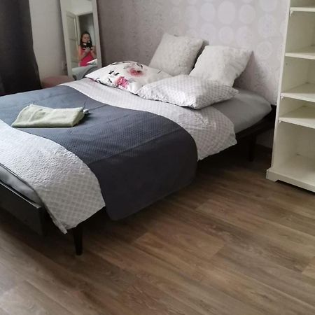 Stylovy Apartman V Centru Nachoda Kültér fotó