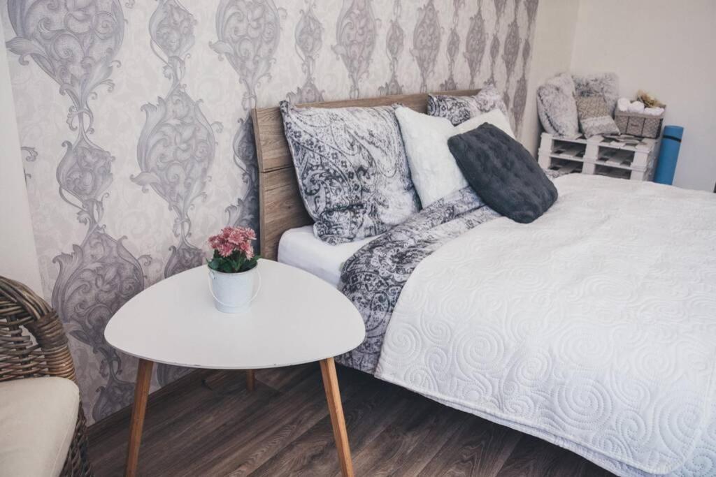 Stylovy Apartman V Centru Nachoda Kültér fotó