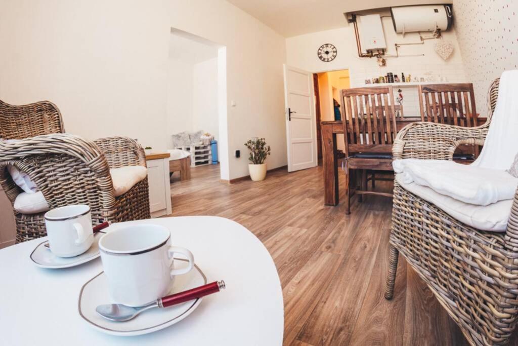 Stylovy Apartman V Centru Nachoda Kültér fotó